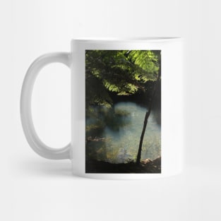 Pond in a hidden forest Mug